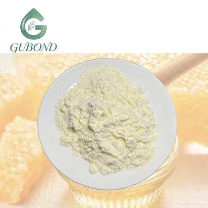 Royal Jelly Powder for Dietary Supplements