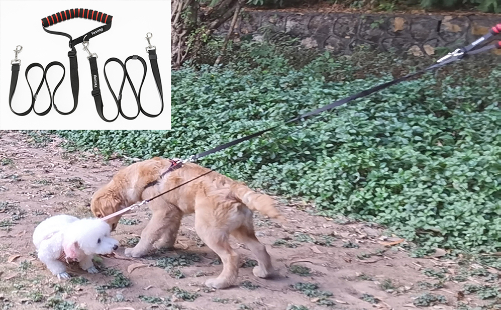 Pet Leash Set Multi Use, High Quality Pet Leash Set Multi Use on