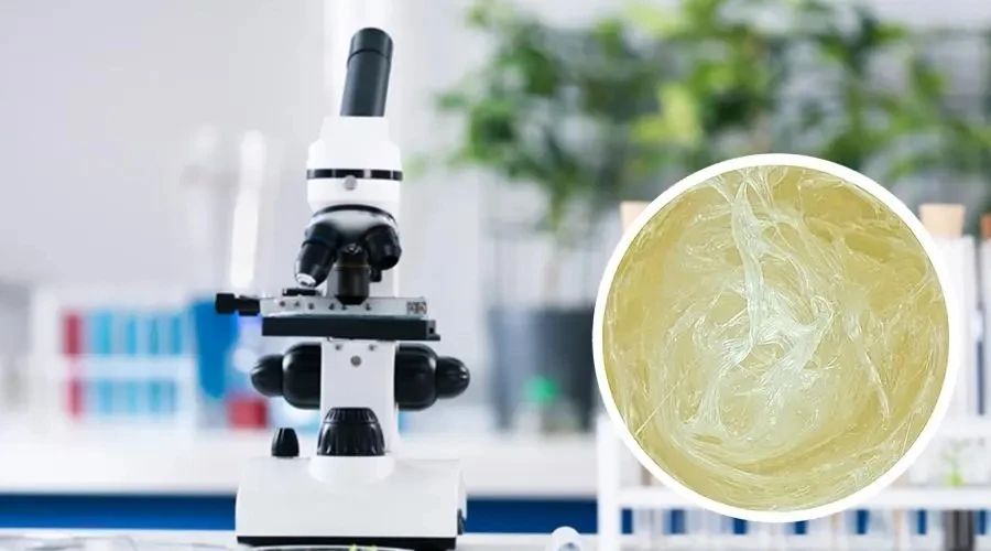 What is the effect of damping grease on optical instruments?