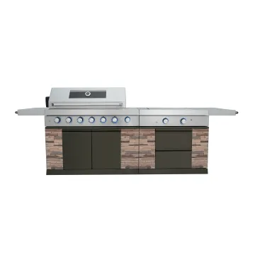 Hyxion gas bbq grill outdoor stainless steel barbecue  burner with oven grill