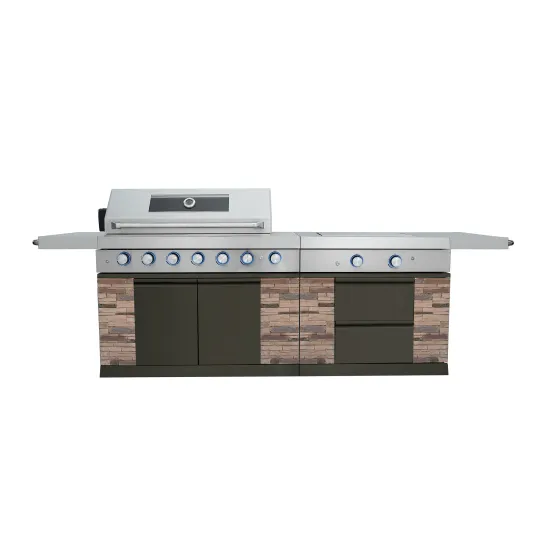 Hyxion gas bbq grill outdoor stainless steel barbecue  burner with oven grill