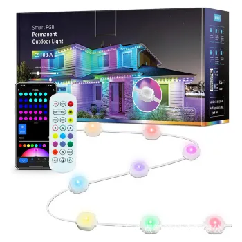 Outdoor Permanent LED Lights for Holiday and Christmas