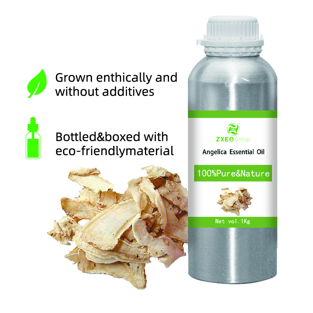 Angelica Raiz Natural Pure Salte essencial de óleo personalizável Private Rótulo de alta qualidade Óleo essencial para cuidados corporais OEM/ODM