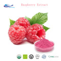 Best Natural Raspberry Extract/Fructus Rubi P.E Fructus Rubi