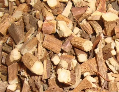 Pogostemon cablin (Blanco) Benth.