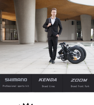 25km/h economical price fat tyre electrical Bicycles