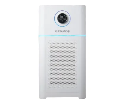 Fast Purification Home Air Humidifier