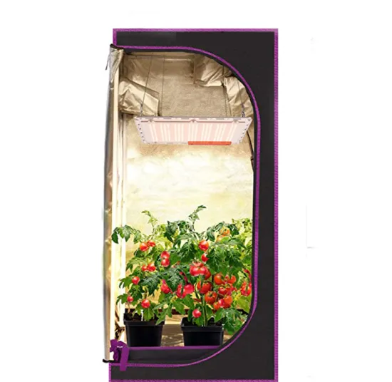 Quantum Board Vs Cob Grow Light