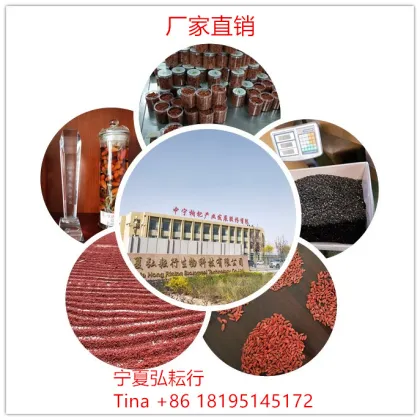 TE DE Oragnic Gojiberry  balance blood sugar