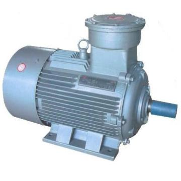 Explosion Proof Three Phase