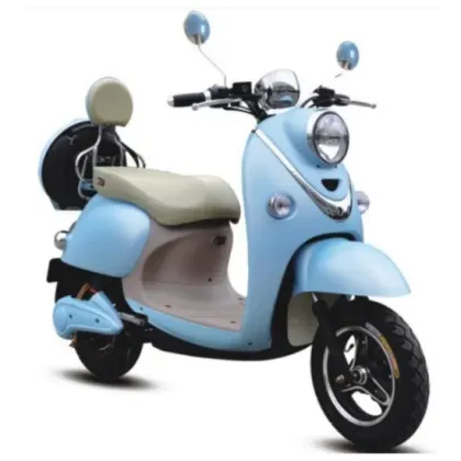 China 1000W Moped Style Electric Bike