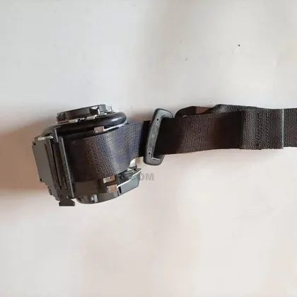 Tesla Model 3 Rear Seat Belt - Part Number 1110154-C1-G