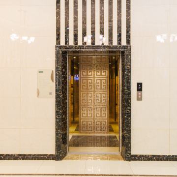 Professional Lifts 800kg 10 Persons Passenger Elevators