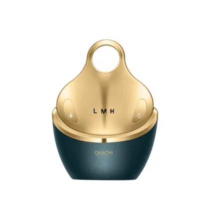 Home Use Products Vibrating Electrical Face Beauty equipment