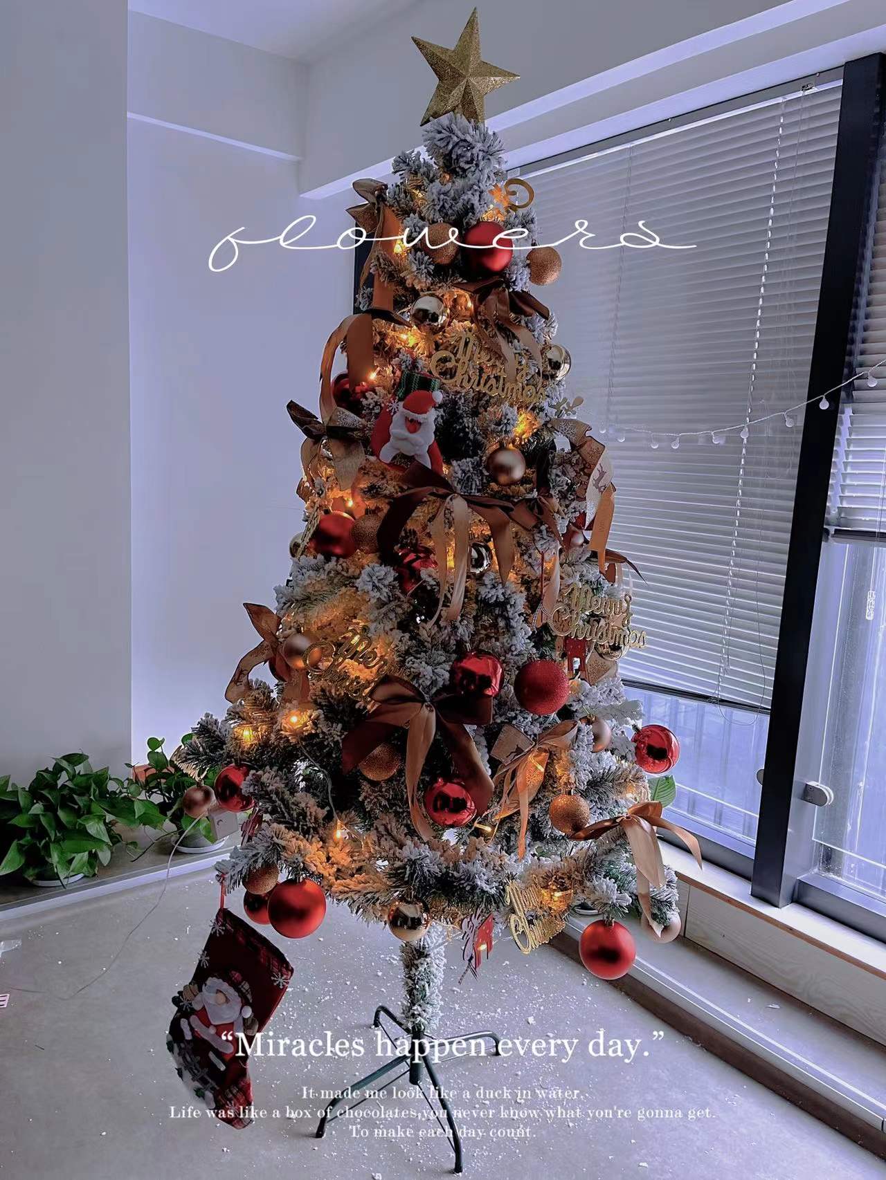 Christmas1