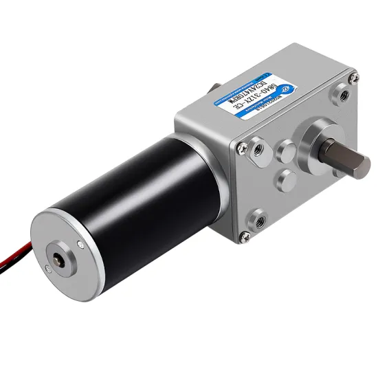 Customized 12V/24V High Torque 100kg.cm DC Gear Motor with Worm Gear Box