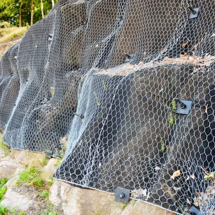 Active Slope Protection Net Search Engine