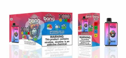 Wholesale Bang King 30000 Disposable Smoke Vape