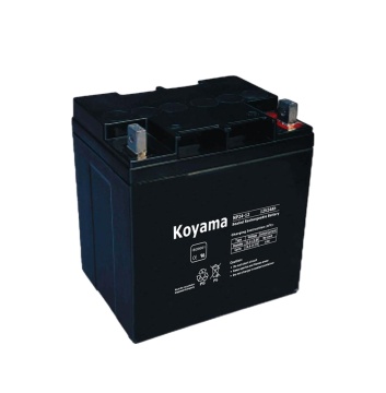 NP24-12 12V24AH Bateria de armazenamento selado para veículos elétricos
