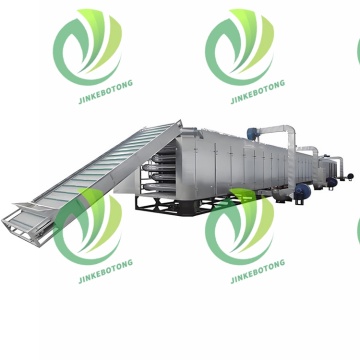 Reliable Mesh Belt Drying Process