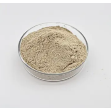 Környezetbarát bio baktériumok vízkezeléshez