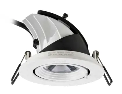 Elephant trunk shaped embedded ceiling light