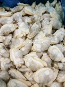 IQF BABY CLAM MEAT IN BULK