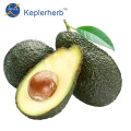 Fornitura di fabbrica di estratto di avocado