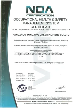 Polyester DTY 300D/96F/2 S+Z SD RW HIM