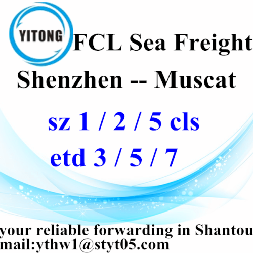 Shenzhen Professional Freight Forwarder Agent to Muscat