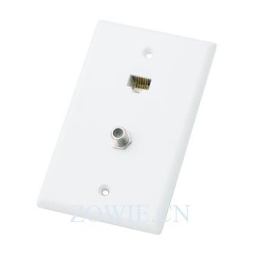 Single F81 and Cat5e wall plate