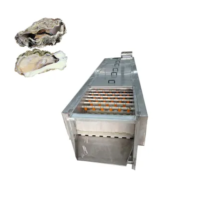 High Speed Automatic Brush Washing Machine for Shellfish
