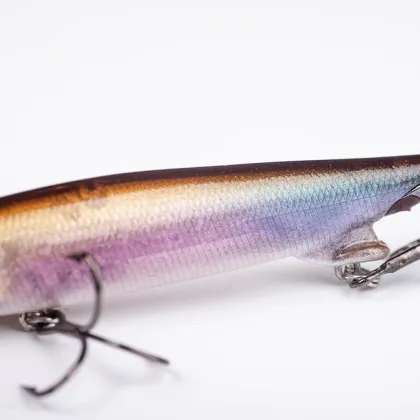 Soft Bait & Paddle Tail Lures for Bass Fishing