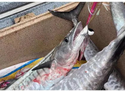 High Strength BKK Assist Hook for Deep Sea Tuna Jigging