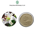 Lilium Brownii Bulb Extract: Your Secret to Radiant Skin