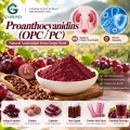 Proantocianidinas OPC 50%–98% Extracto vegetal para formulaciones cosméticas y alimentarias