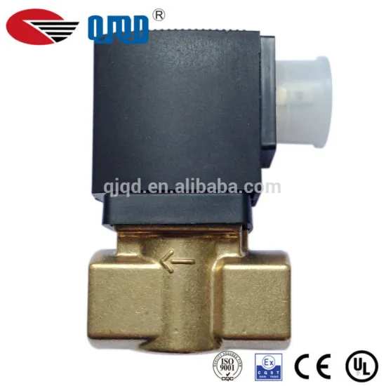 AC 220V Guide Tpye Mini Solenoid Valve Water