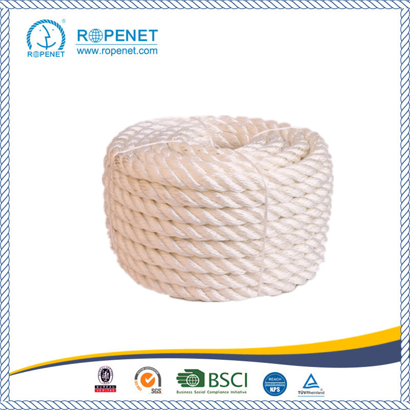 High Quality PP Multi Twisted Rope