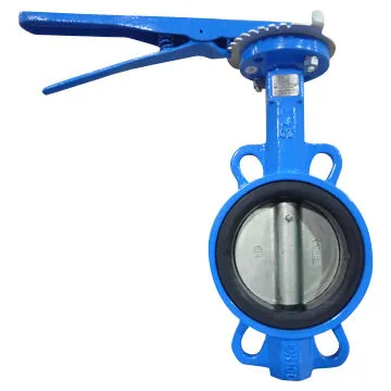 Butterfly valve with SS disc