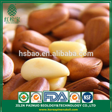Deep Discount New Harvest Nutrition Open Pine Nuts in Shell