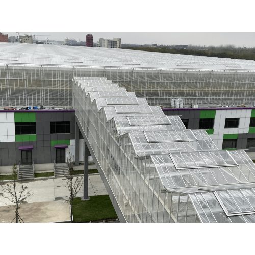 Sky Farm Greenhouse Structure