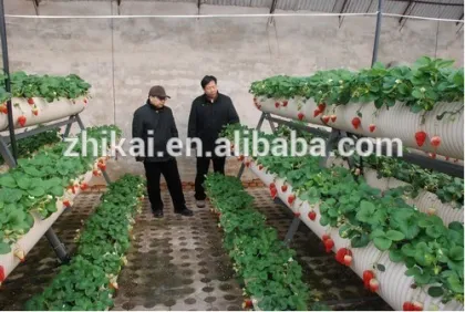 Agricultural rockwool/rockwool price/rockwool cubes