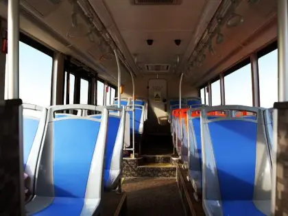 Microcirculation Autonomous Electric City Buses