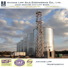 2500t Raps -Lagerung Siloöl -Herstellung Material Silo