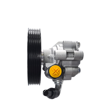 Spare Part Accessory Power Steering Pump for Cadillac CTS 2.8L 3.6L 2004-2007