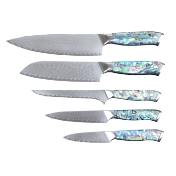 67-στρώμα Ιαπωνικά VG10 Damascus Steel Kitcher Kitchen Set με λαβή ρητίνης Abalone Shell