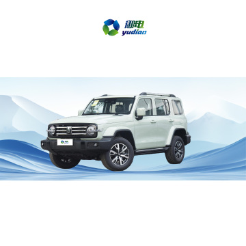 2024 Tank Changcheng 300 2.0T+8AT 5 SUV