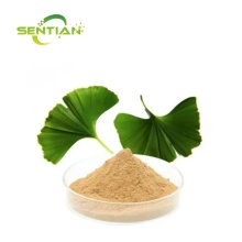 Ginkgo biloba leaf extract ginkgo biloba Extract Powder