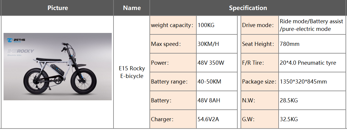 electirc bike 