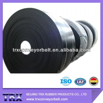Multi-Ply Conveyor System